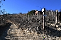 VBS_0876 - Corneliano d'Alba